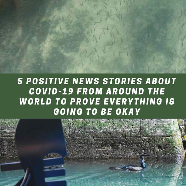 5 Positive News Stories About COVID-19 From Around The World To Prove Everything Is Going To Be Okay